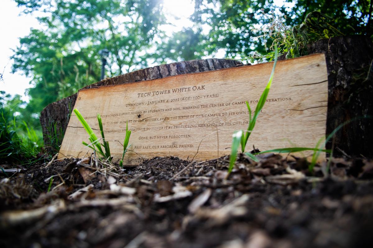 The laser-engraved epitaph on a slab of the white oak.